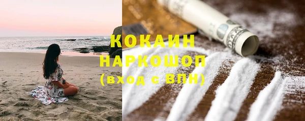 дживик Верея