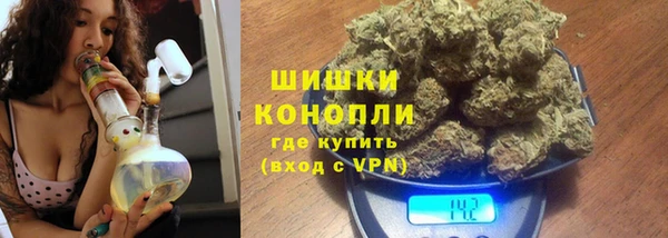 дживик Верея